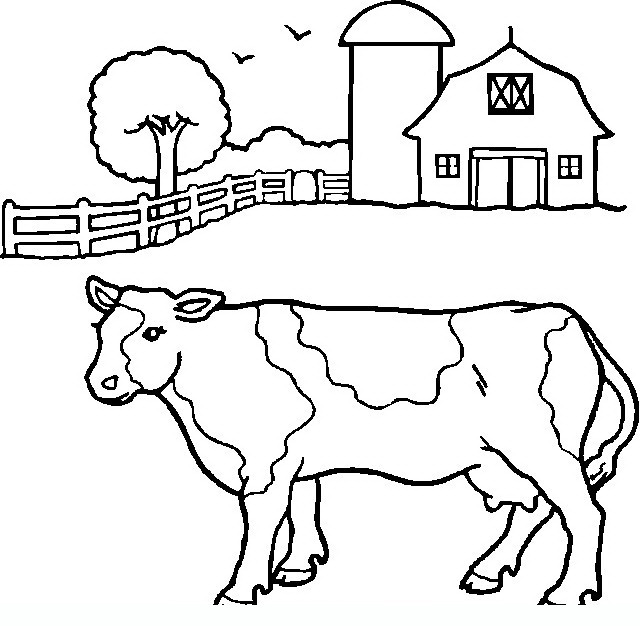 640x626 Pagesdettagli Farm