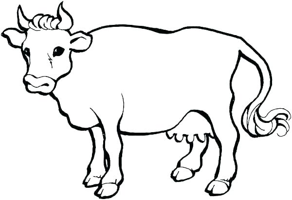 600x410 Coloring Page Cow Cow With Calf Cow With Calf Coloring Page