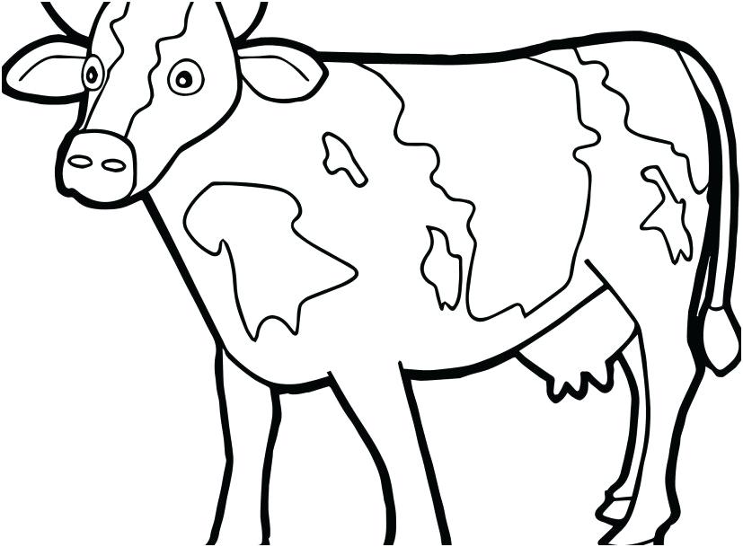 827x609 Coloring Pages Cute Baby Animals Cow Free Printable Of Cows Calf