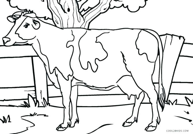671x466 Cow Coloring Page Coloring Page Cow Coloring Page Cow Cow Coloring