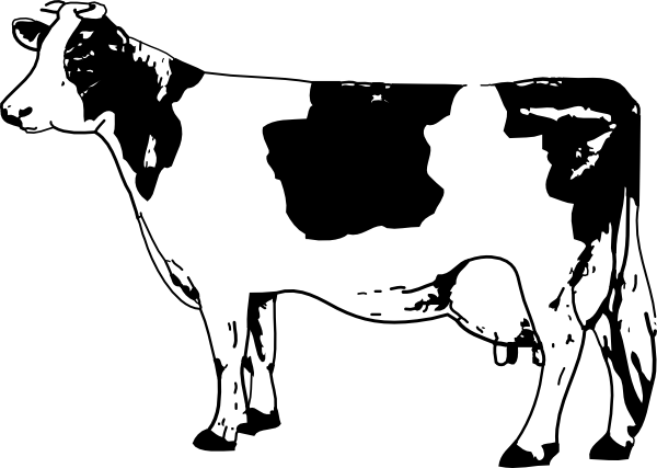 600x427 Cow Coloring Pages 2 Coloring Pages To Print