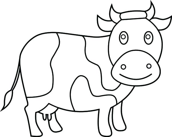 600x479 Cow Coloring Pages Cow Face Coloring Page Coloring Page Cow
