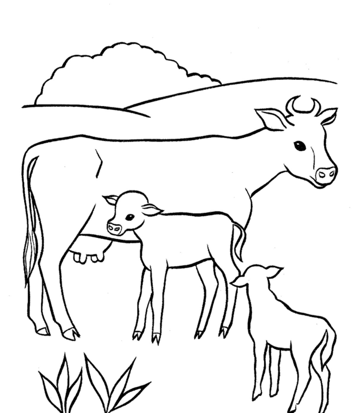 1193x1390 Cow Coloring Pages For Adults Drawn Page Pencil And In Color