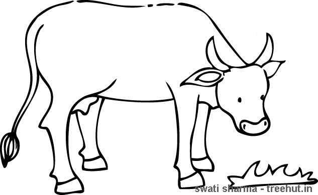 633x389 Cow Coloring Pages