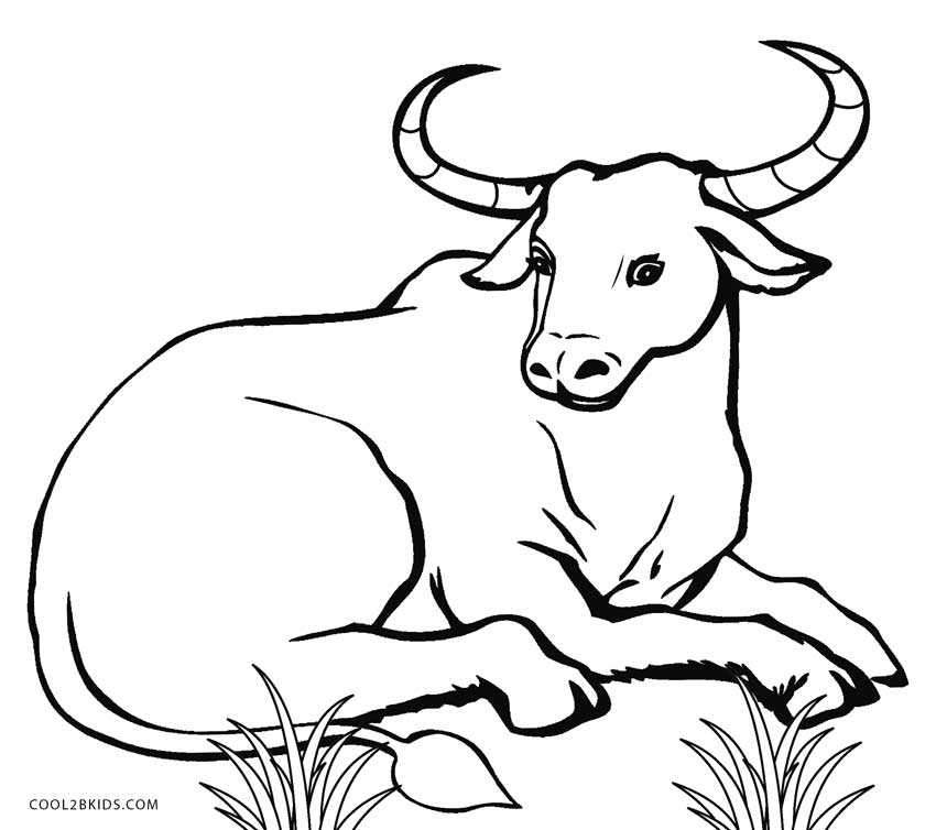 850x754 Free Printable Cow Coloring Pages For Kids Cool2bkids