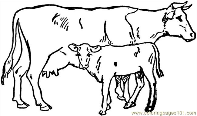 650x385 Cow Coloring Pages Free Cow 4 Coloring Page Free Cow Coloring