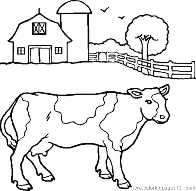 650x635 Cow Color Page Cute Little Cow Coloring Page Color Pages