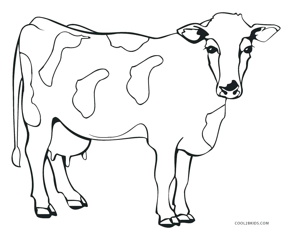 950x778 Baby Cow Coloring Pages Impair.co