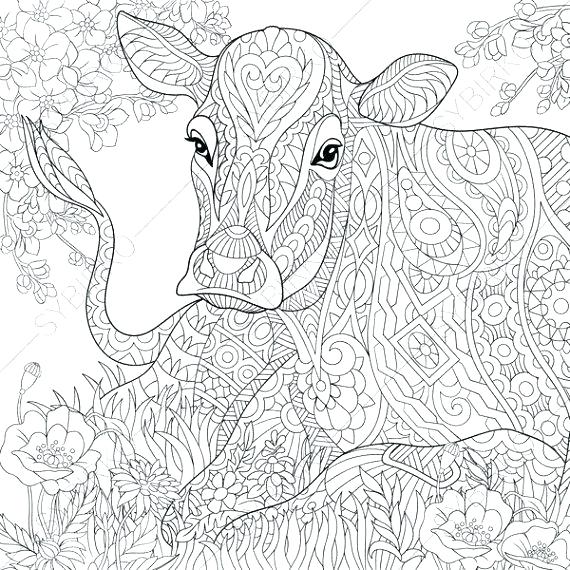 570x570 Cow Printable Coloring Pages