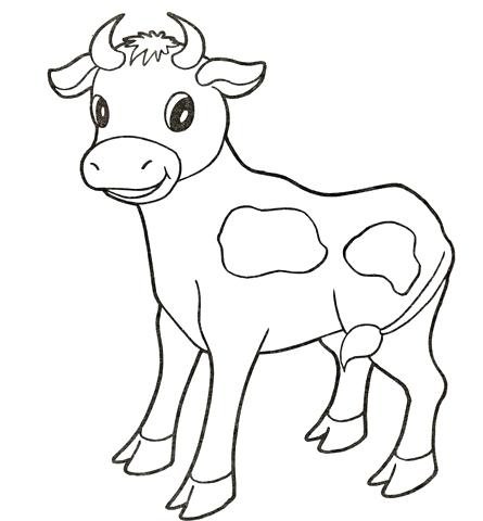445x480 Baby Cow Coloring Page Free Printable Coloring Pages Cow Pictures