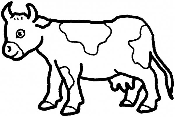 600x402 Picture Of Cow For Colouring Lovely Cow Coloring Page 32 On Free