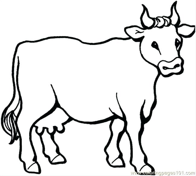 Cow Coloring Pages Free Printable
