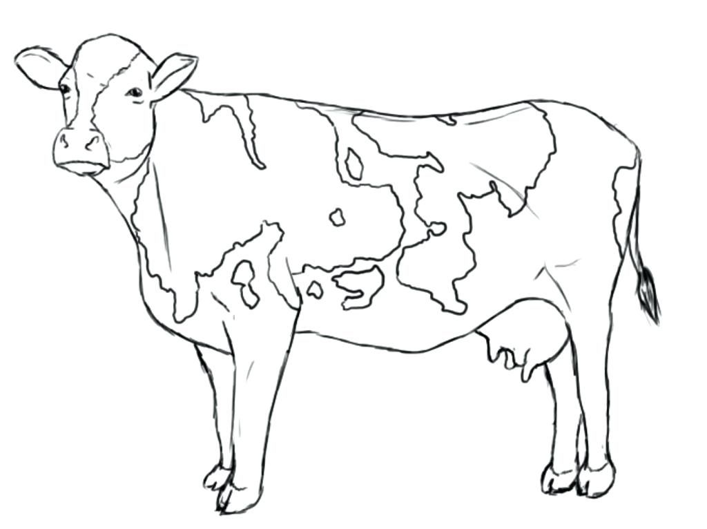 1024x766 Cow Coloring Pages Free Printable Click Clack Moo Cows That Type