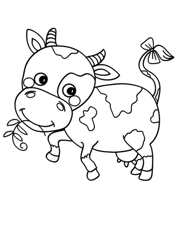 600x775 Baby Cow Coloring Printable