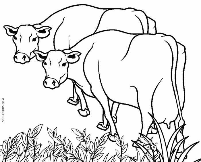 700x567 Free Printable Cow Coloring Pages For Kids Cool2bkids