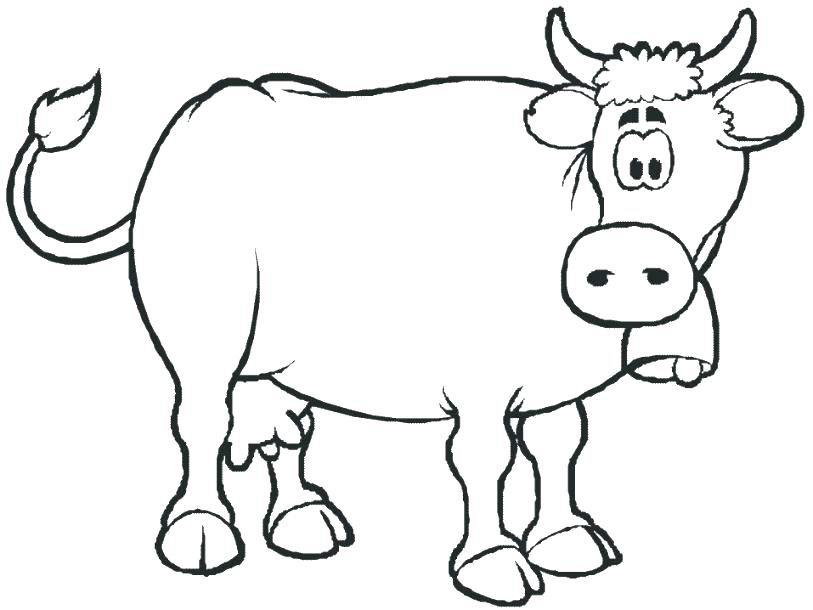 813x610 Cow Coloring Page