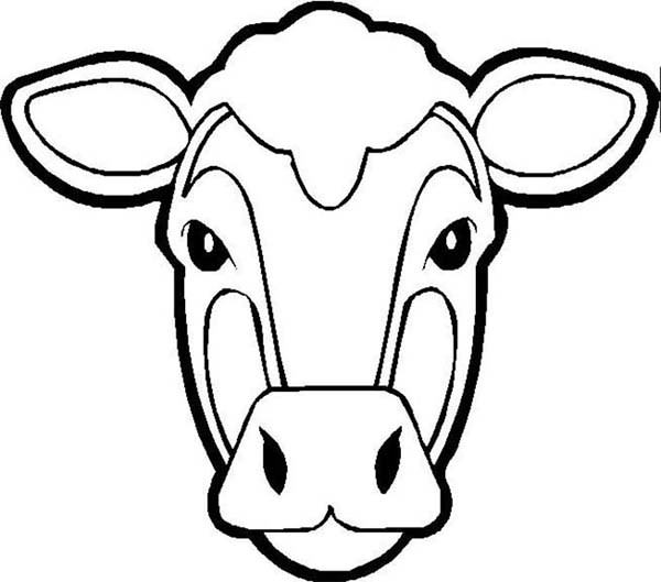 600x529 Cow Face Coloring Page