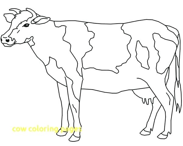 600x481 Cows Coloring Pages Cow Coloring Pages With Simply Simple Page
