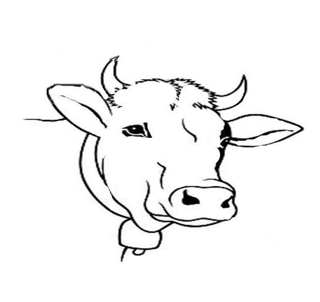 650x612 Cow Template