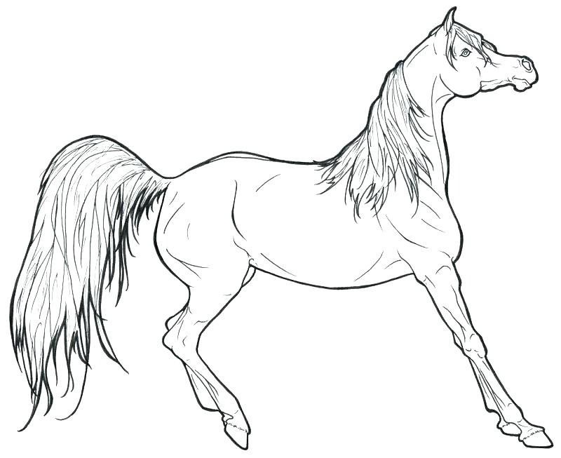 800x653 Cowboy Horse Coloring Page For Boys Zahlkarte.site
