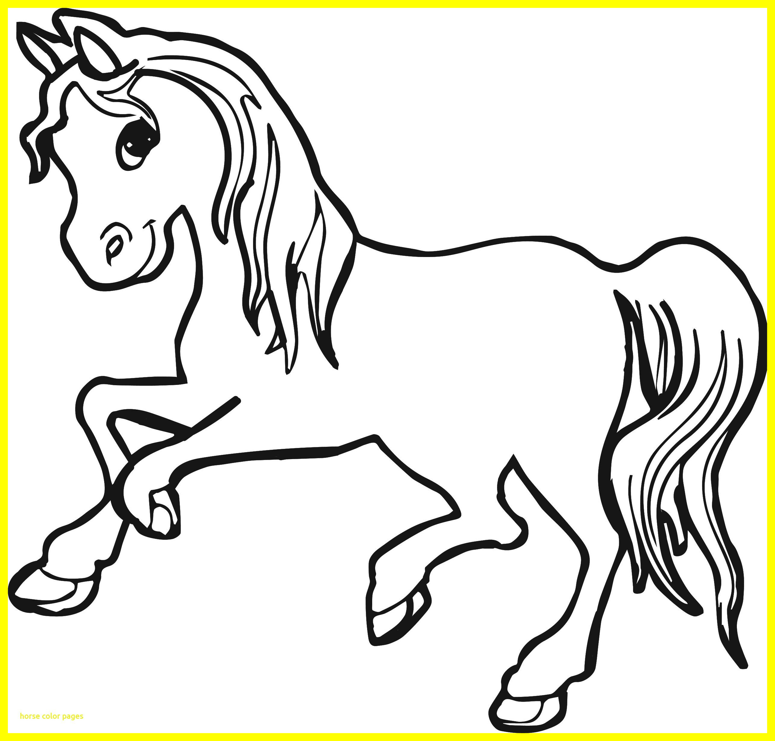 2582x2468 Awesome Jesus Riding On A Donkey Coloring Page Printable