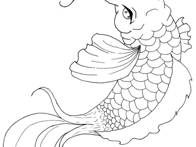 640x480 Japanese Koi Fish Coloring Pages. Blooming Lotus And Coy Fish
