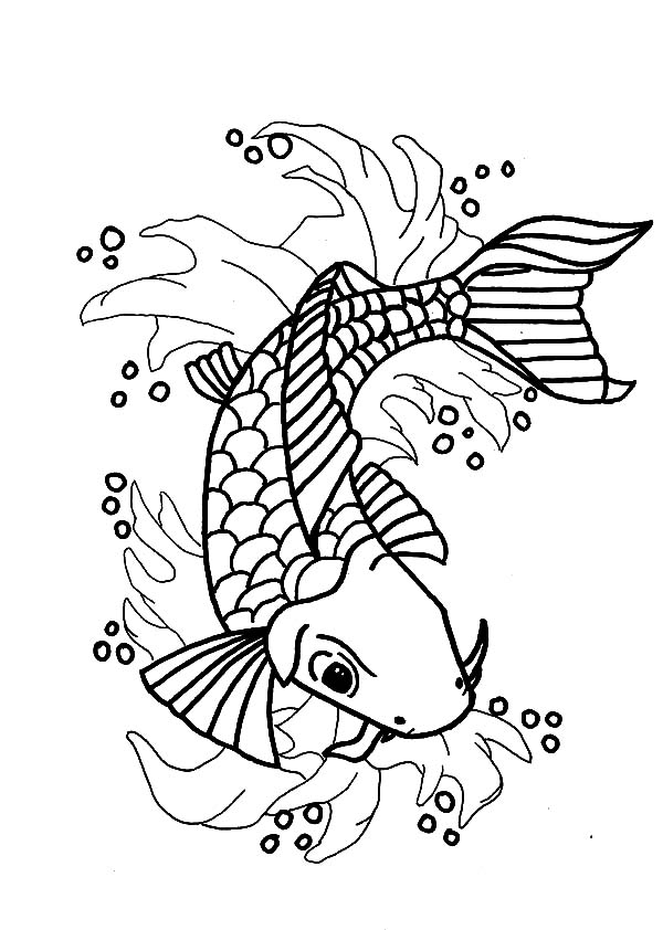 600x842 Nishikigoi Koi Fish Coloring Pages Nishikigoi Koi Fish Coloring