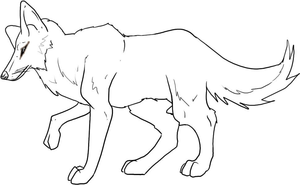 971x598 Coyote Coloring Page Printable Coyote Coloring Pages For Kids