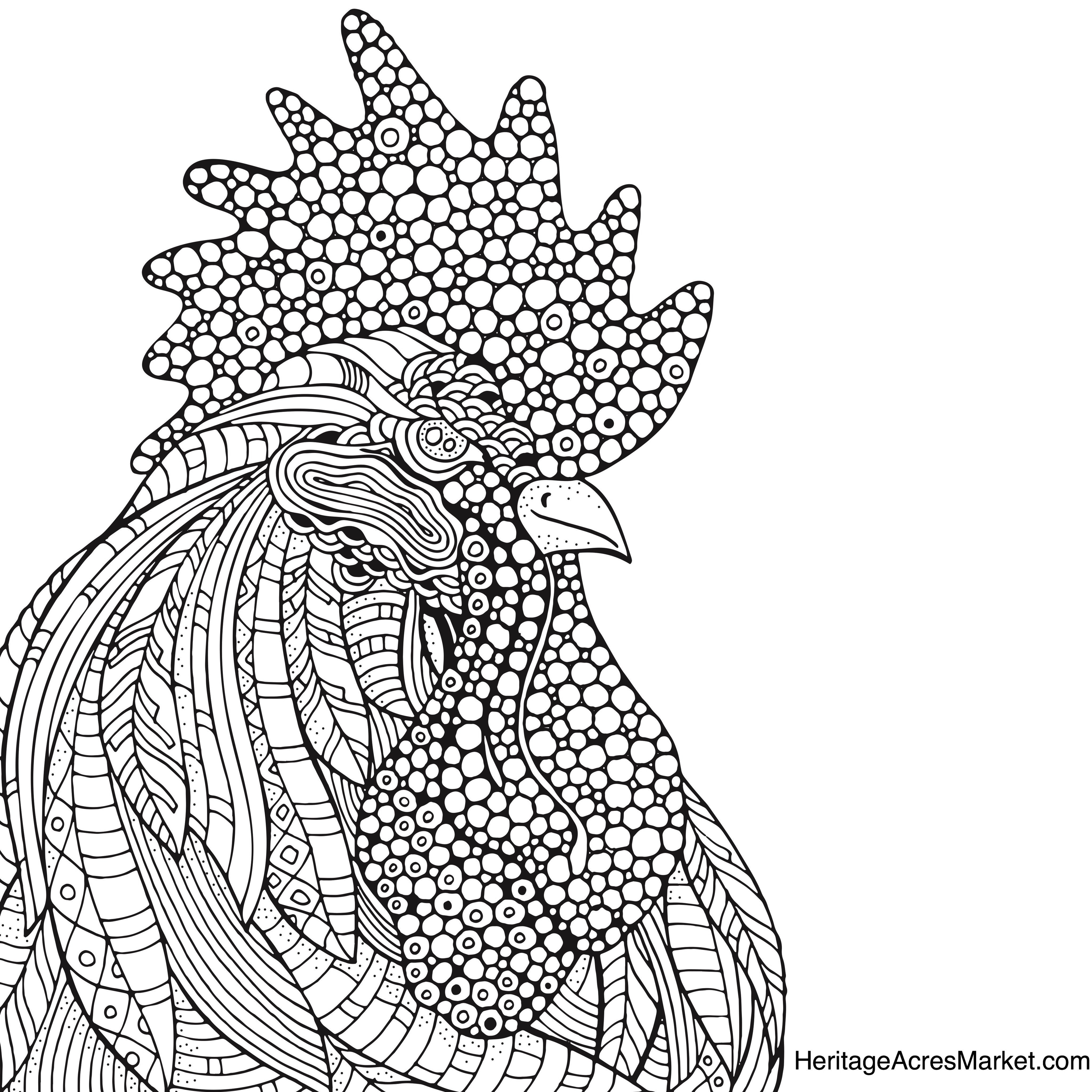 4096x4096 Rooster Coloring Page Heritage Acres Market Llc