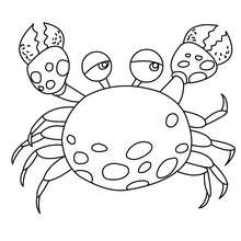 220x220 Kawaii Crab Coloring Pages