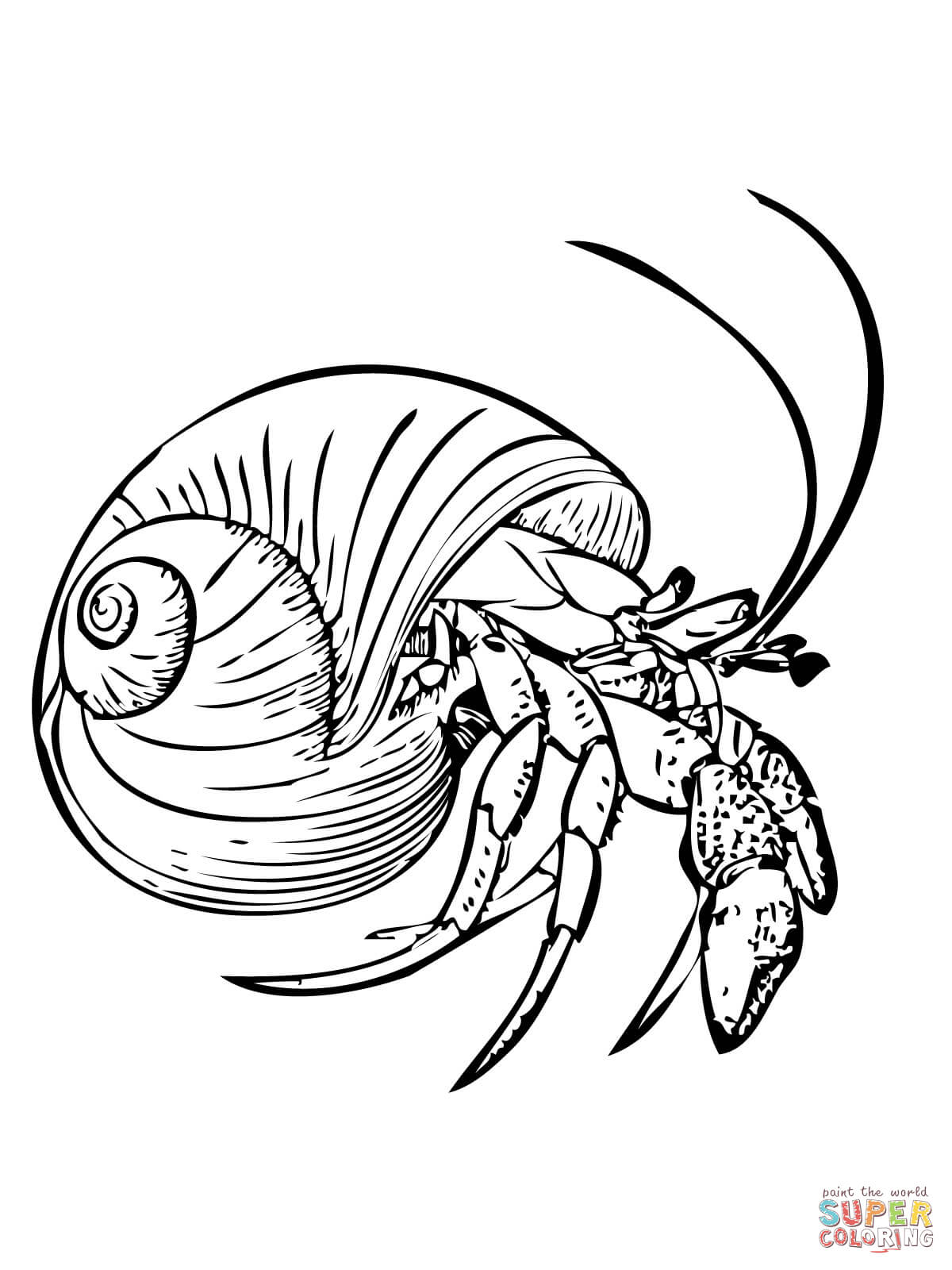 1200x1600 Profitable Crab Coloring Sheets Crabs Pages Fr