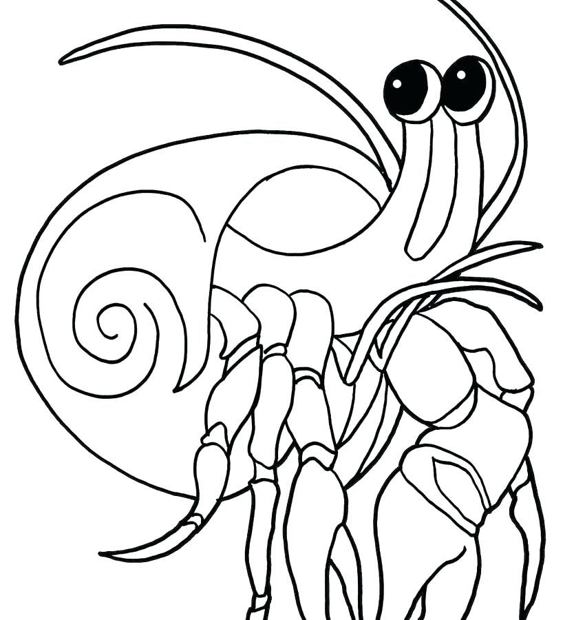 850x900 Hermit Crab Coloring Page Crab Coloring Page Printable Hermit Crab