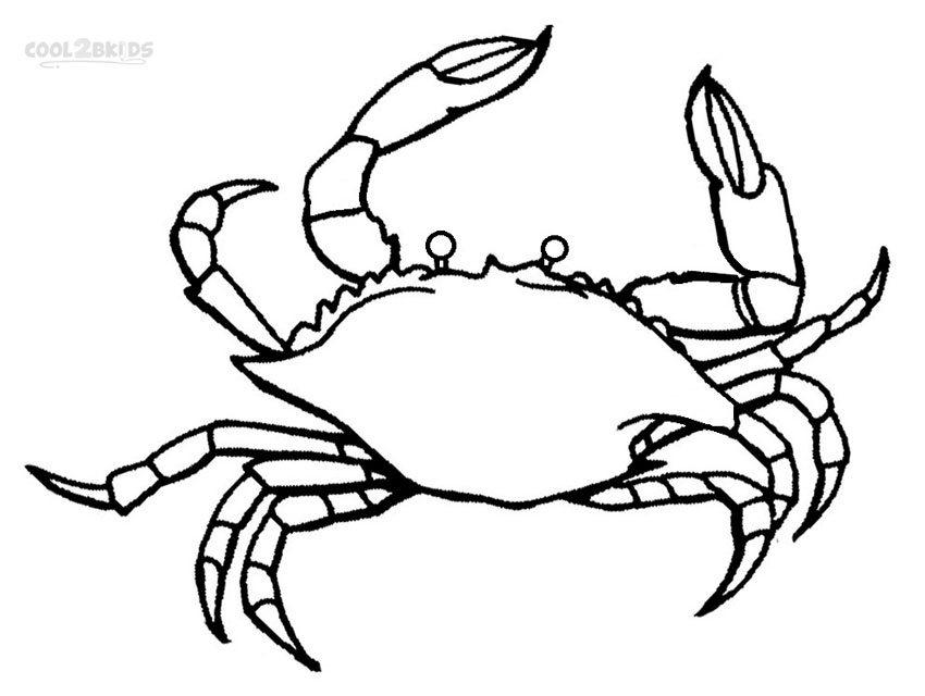 850x640 Printable Crab Coloring Pages For Kids Cool2bkids