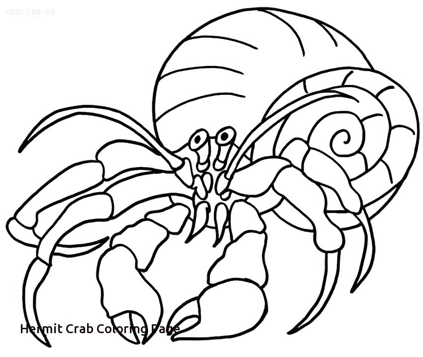850x719 Crab Coloring Page Download Crab Coloring Page Stock Illustration