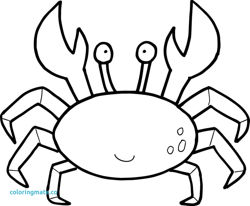 1024x845 Crab Coloring Page Pages Preschool To Amusing Kids