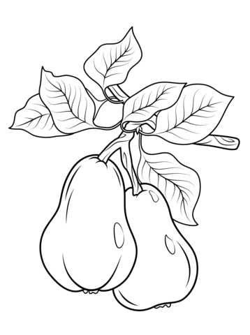 358x480 Cranberry Coloring Page