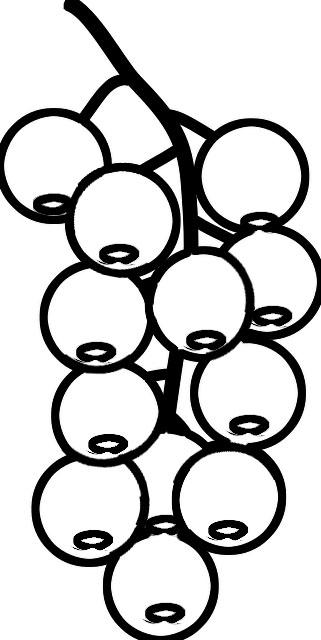 321x640 Cranberry Coloring Pages 6 Nice Coloring Pages For Kids
