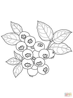 236x314 Grapes Coloring Pages 005 Printing, Template And Embroidery