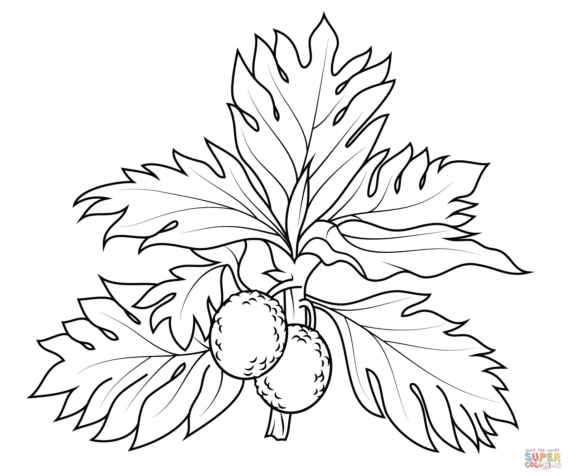 1820x1526 Clanberry Fruits And Berries Coloring Pages For Kids Awesome Best
