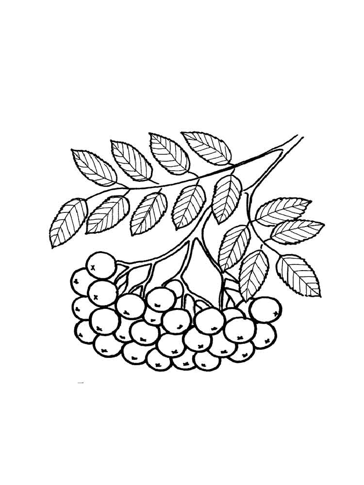 750x1000 Rowan Coloring Pages. Download And Print Rowan Coloring Pages.