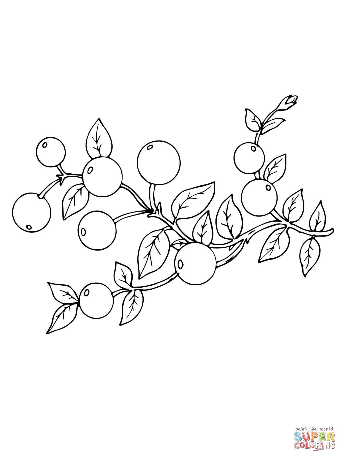 1200x1600 Clanberry Fruits And Berries Coloring Pages For Kids New Cranberry