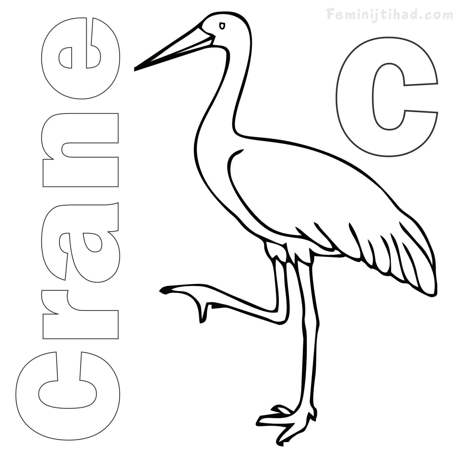 1575x1575 Crane Coloring Pages Free Download Coloring Pages For Kids