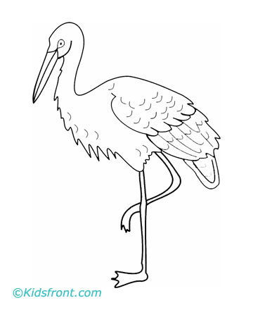 360x440 Print Crane Coloring Pages Small Color Page Large Color Page Small