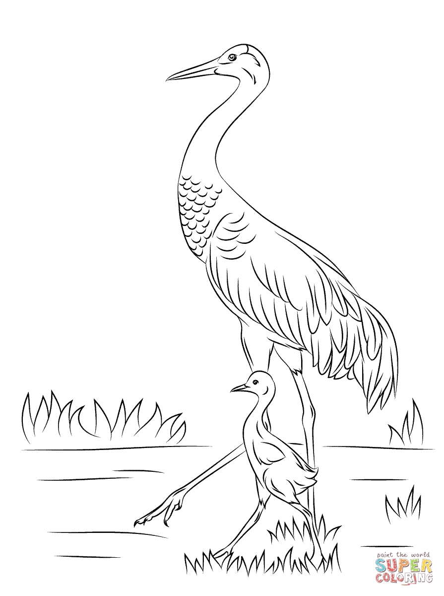 Crane Coloring Pages Printable