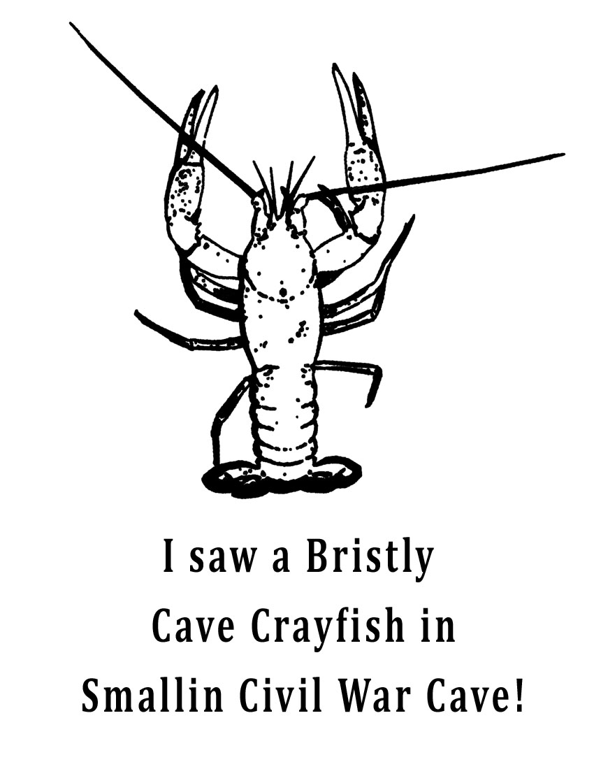 Crawfish Coloring Page