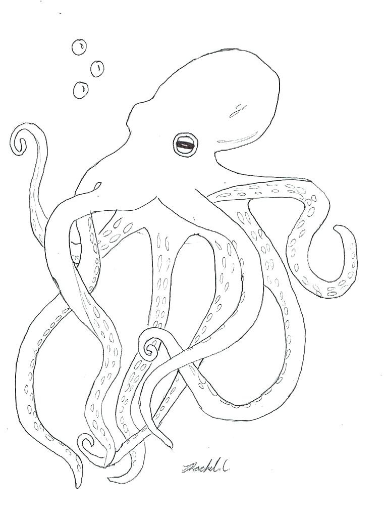 761x1021 Crawfish Coloring Page Crayfish Coloring Page To Print Out
