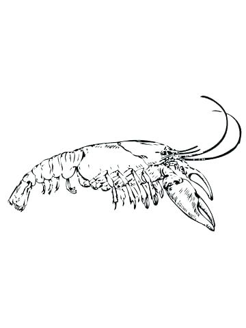 360x480 Coloring Page Click To See Printable Version Of Eastern Coloring