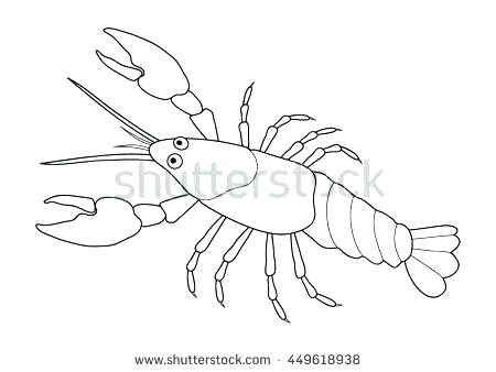 450x338 Crawfish Coloring Page Printable Coloring Pages For Kids Crawfish
