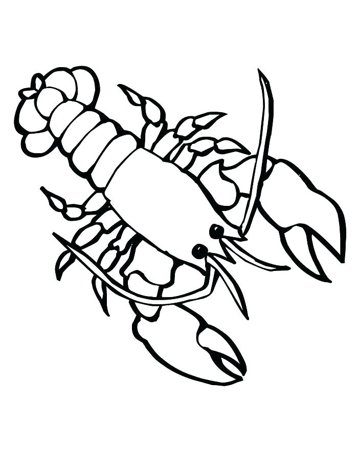 700x906 Crawfish Coloring Page Coloring Page Coloring Page Sea Creature