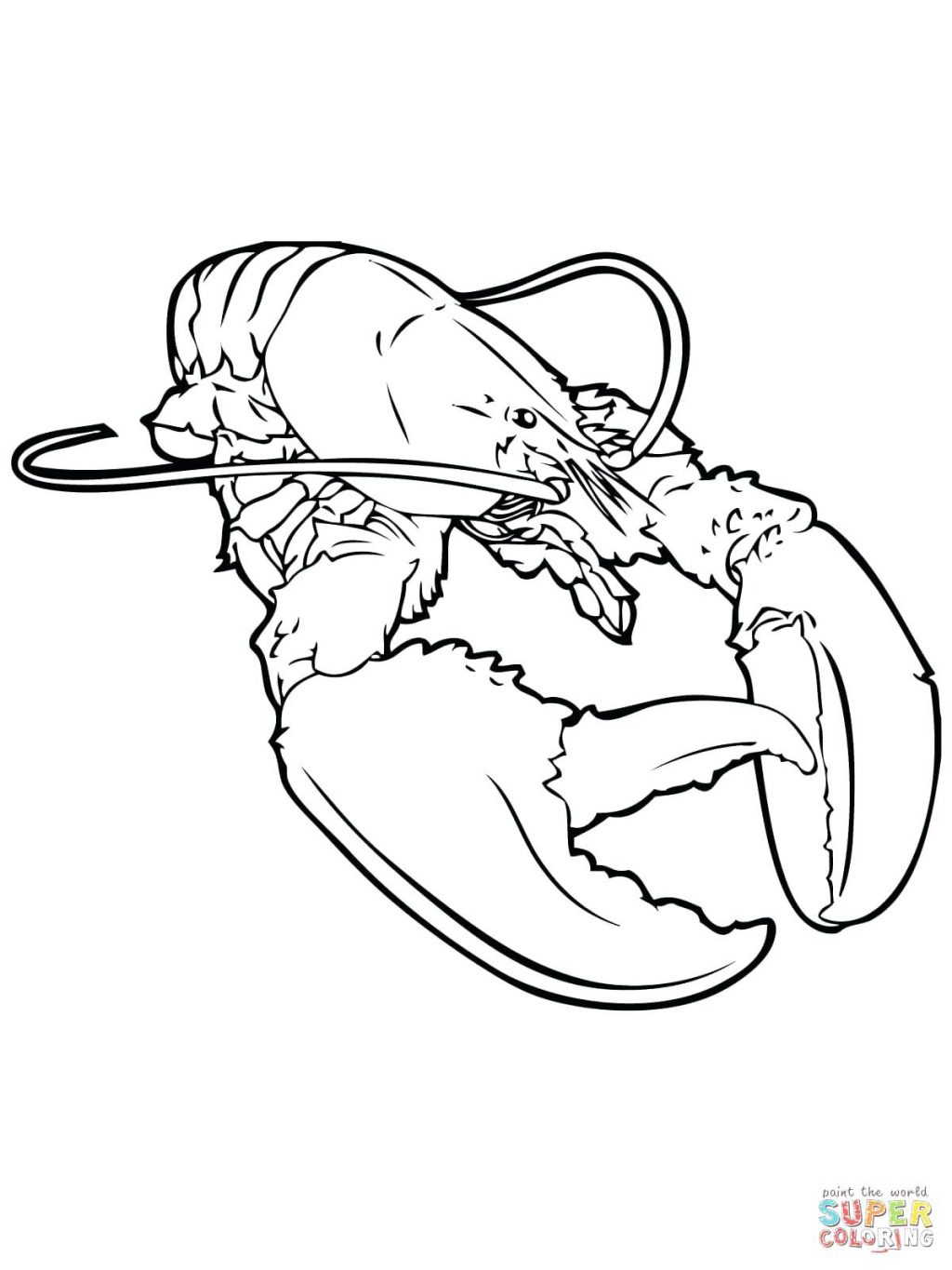 1024x1365 Expert Crayfish Coloring Page American Lobster Free Printable